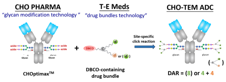 CHO-TEM antibody drug conjugates (CHO-TEM ADCs) – T-E Meds
